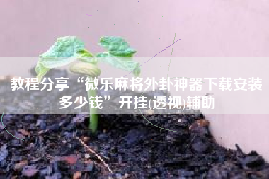 教程分享“微乐麻将外卦神器下载安装多少钱”开挂(透视)辅助