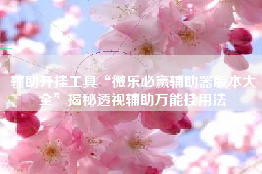 辅助开挂工具“微乐必赢辅助器版本大全	”揭秘透视辅助万能挂用法