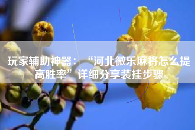 玩家辅助神器：“河北微乐麻将怎么提高胜率”详细分享装挂步骤