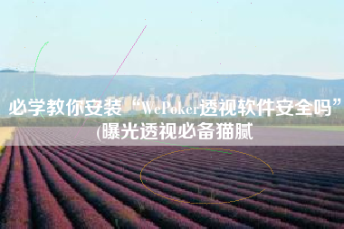 必学教你安装“WePoker透视软件安全吗”(曝光透视必备猫腻