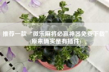推荐一款“微乐麻将必赢神器免费下载	”(原来确实是有插件)