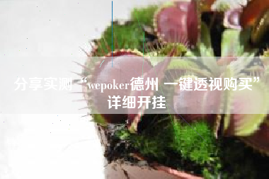 分享实测“wepoker德州 一键透视购买	”详细开挂