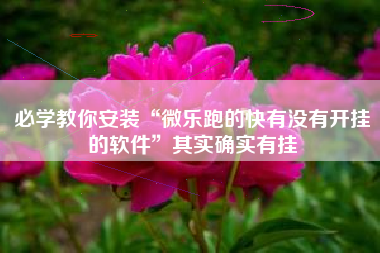 必学教你安装“微乐跑的快有没有开挂的软件”其实确实有挂