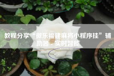 教程分享“微乐福建麻将小程序挂	”辅助器 - 实时智能