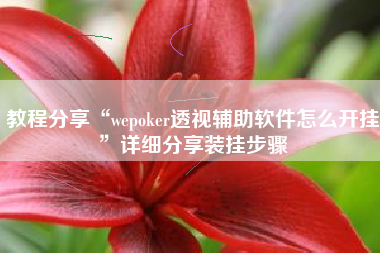 教程分享“wepoker透视辅助软件怎么开挂	”详细分享装挂步骤