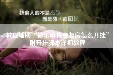 教程辅助“微乐麻将亲友房怎么开挂”附开挂脚本详细教程