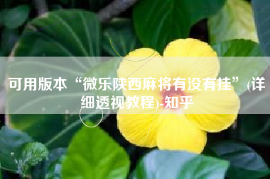 可用版本“微乐陕西麻将有没有挂”(详细透视教程)-知乎