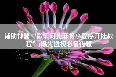 辅助神器“微乐河北麻将小程序开挂教程”(曝光透视必备猫腻