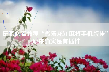 玩家必看教程“微乐龙江麻将手机版挂”(原来确实是有插件