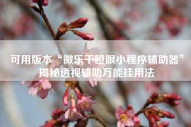 可用版本“微乐干瞪眼小程序辅助器	”揭秘透视辅助万能挂用法