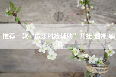 推荐一款“微乐科技辅助”开挂(透视)辅助