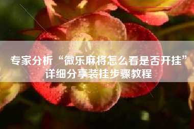 专家分析“微乐麻将怎么看是否开挂”详细分享装挂步骤教程