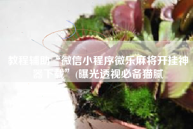 教程辅助“微信小程序微乐麻将开挂神器下载	”(曝光透视必备猫腻