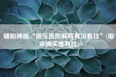 辅助神器“微乐贵阳麻将有没有挂”(原来确实是有挂)