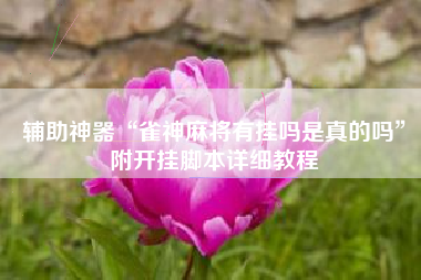 辅助神器“雀神麻将有挂吗是真的吗”附开挂脚本详细教程