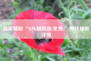 真实辅助“WPK辅助器(免费)”开挂辅助详细