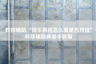 教程辅助“微乐麻将怎么看是否开挂”科技辅助神器手机版