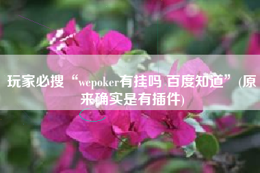 玩家必搜“wepoker有挂吗 百度知道	”(原来确实是有插件)