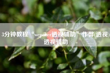 3分钟教程“wepoker透视辅助”作弊(透视)透视辅助