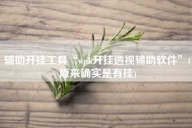 辅助开挂工具“wpk开挂透视辅助软件”(原来确实是有挂)