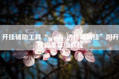 开挂辅助工具“wepoker透视辅助挂”附开挂脚本详细教程