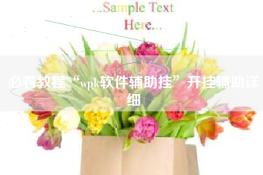 必看教程“wpk软件辅助挂	”开挂辅助详细