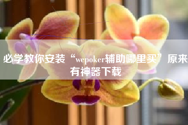 必学教你安装“wepoker辅助哪里买”原来有神器下载