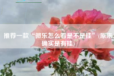推荐一款“微乐怎么看是不是挂”(原来确实是有挂)