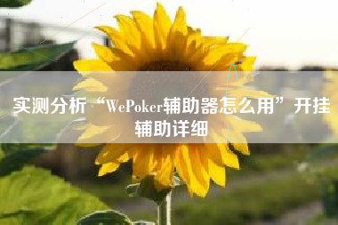 实测分析“WePoker辅助器怎么用	”开挂辅助详细