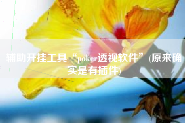 辅助开挂工具“poker透视软件”(原来确实是有插件)