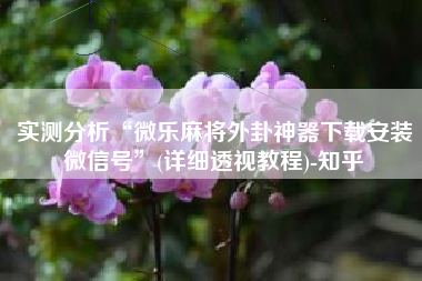 实测分析“微乐麻将外卦神器下载安装微信号”(详细透视教程)-知乎