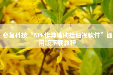 必备科技“WPK作弊辅助挂透视软件	”通用版下载教程