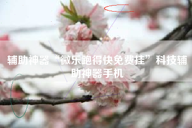 辅助神器“微乐跑得快免费挂	”科技辅助神器手机