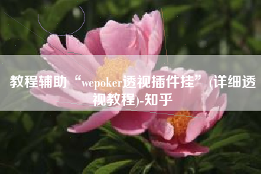 教程辅助“wepoker透视插件挂”(详细透视教程)-知乎