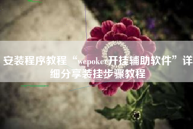 安装程序教程“wepoker开挂辅助软件	”详细分享装挂步骤教程