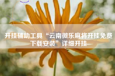 开挂辅助工具“云南微乐麻将开挂免费下载安装”详细开挂