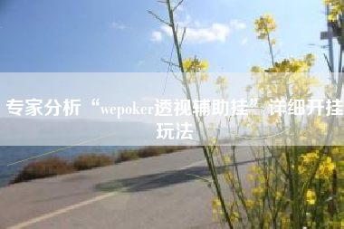 专家分析“wepoker透视辅助挂”详细开挂玩法