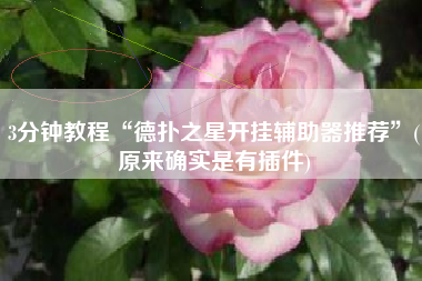 3分钟教程“德扑之星开挂辅助器推荐	”(原来确实是有插件)