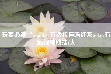 玩家必读“wepoker有透视挂吗红龙poker有透视辅助挂(太