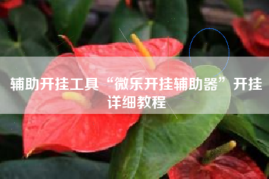 辅助开挂工具“微乐开挂辅助器	”开挂详细教程