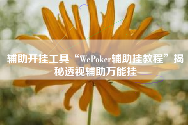 辅助开挂工具“WePoker辅助挂教程	”揭秘透视辅助万能挂