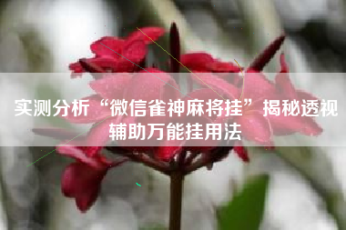 实测分析“微信雀神麻将挂”揭秘透视辅助万能挂用法