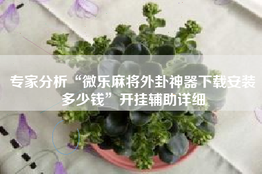 专家分析“微乐麻将外卦神器下载安装多少钱	”开挂辅助详细