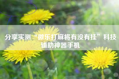 分享实测“微乐打麻将有没有挂”科技辅助神器手机