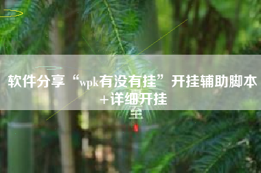 软件分享“wpk有没有挂”开挂辅助脚本+详细开挂
