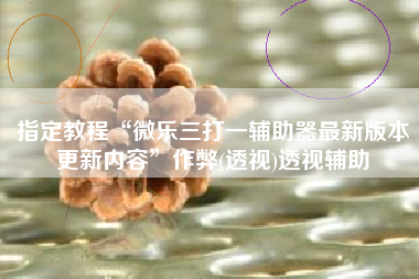 指定教程“微乐三打一辅助器最新版本更新内容”作弊(透视)透视辅助