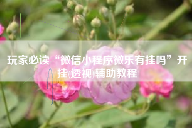 玩家必读“微信小程序微乐有挂吗”开挂(透视)辅助教程