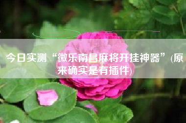 今日实测“微乐南昌麻将开挂神器	”(原来确实是有插件)