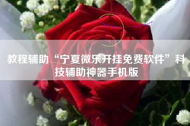 教程辅助“宁夏微乐开挂免费软件	”科技辅助神器手机版