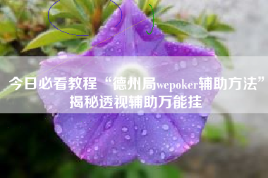 今日必看教程“德州局wepoker辅助方法”揭秘透视辅助万能挂